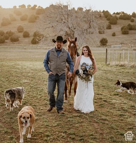 1665 E 1200 N, Mt Pleasant, UT 84647