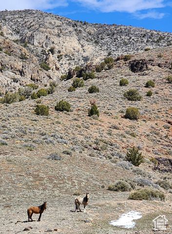 1665 E 1200 N, Mt Pleasant, UT 84647