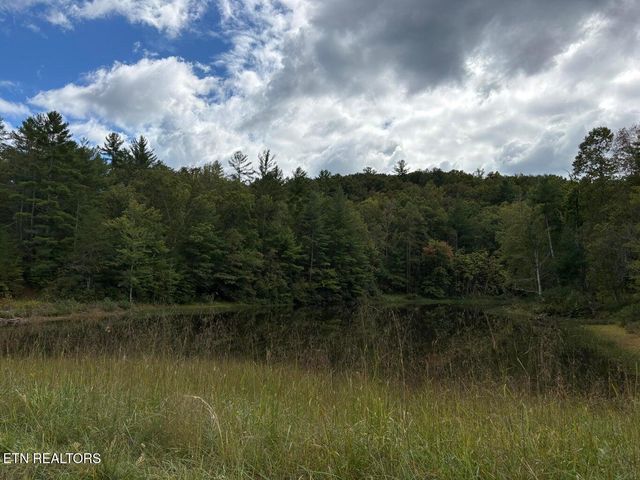 Lot 139 Bear Den Tr, Grandview, TN 37337