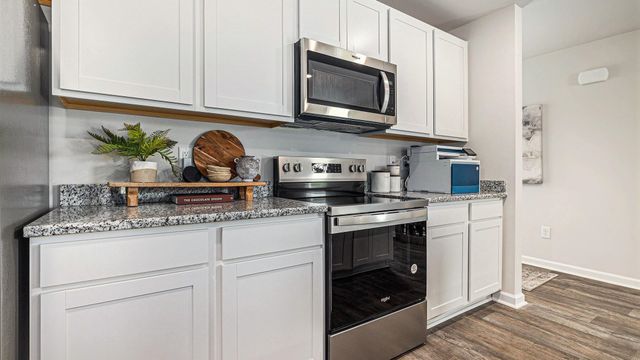 256 Red Buckeye Dr., Conway, SC 29527