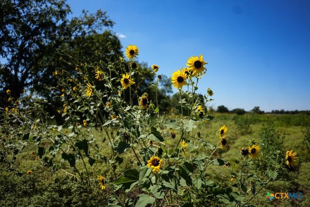 0000 East Gillis Street, Cameron, TX 76520