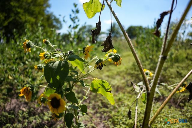 0000 East Gillis Street, Cameron, TX 76520