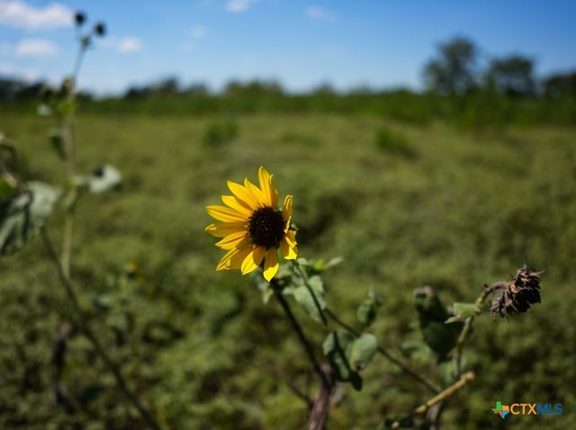 0000 East Gillis Street, Cameron, TX 76520