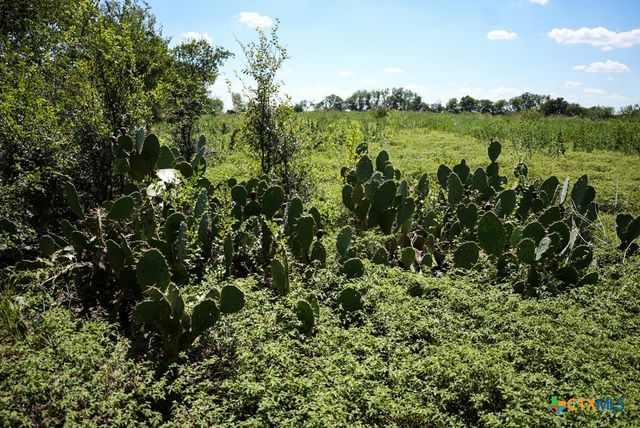 0000 East Gillis Street, Cameron, TX 76520