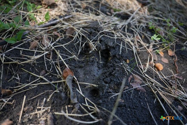 0000 East Gillis Street, Cameron, TX 76520