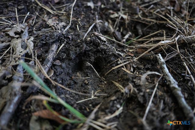 0000 East Gillis Street, Cameron, TX 76520