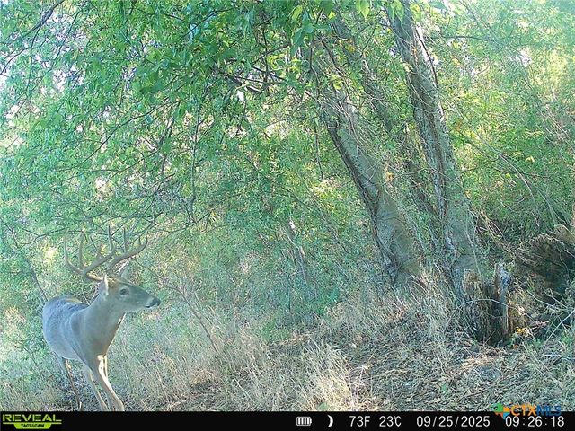 0000 East Gillis Street, Cameron, TX 76520