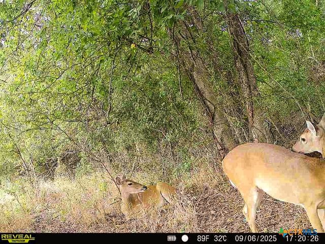 0000 East Gillis Street, Cameron, TX 76520