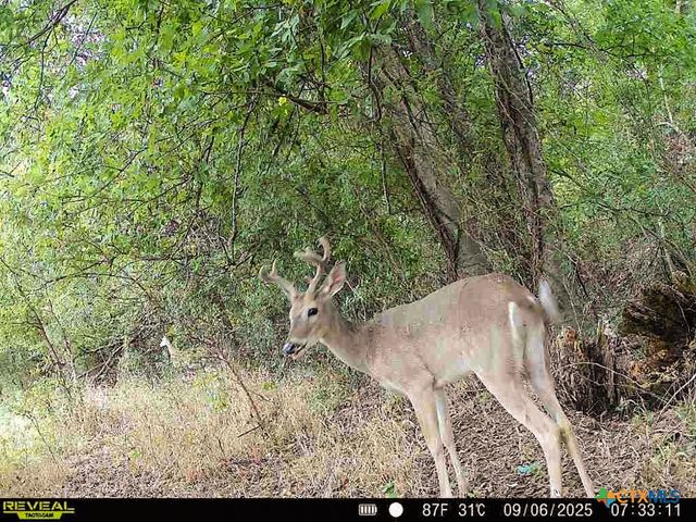 0000 East Gillis Street, Cameron, TX 76520