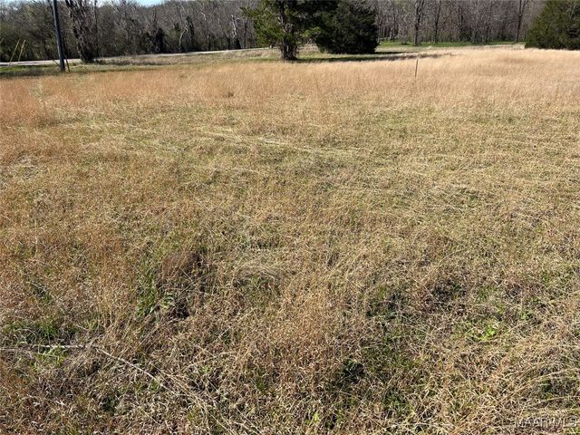 0 Barganier Road, Cecil, AL 36013