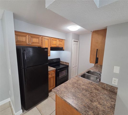 510 GOLDEN RAINTREE PLACE, Brandon, FL 33510