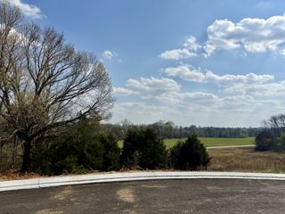 527 Divine Ct, Arrington, TN 37014