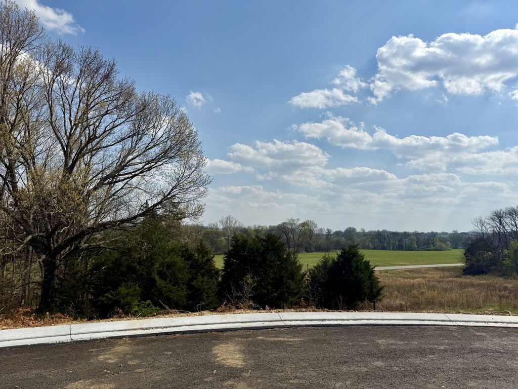 527 Divine Ct, Arrington, TN 37014