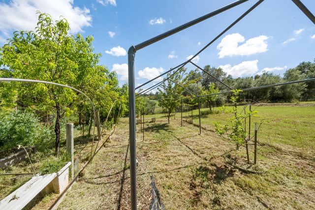 6445 Schindler Rd, Newcastle, CA 95658