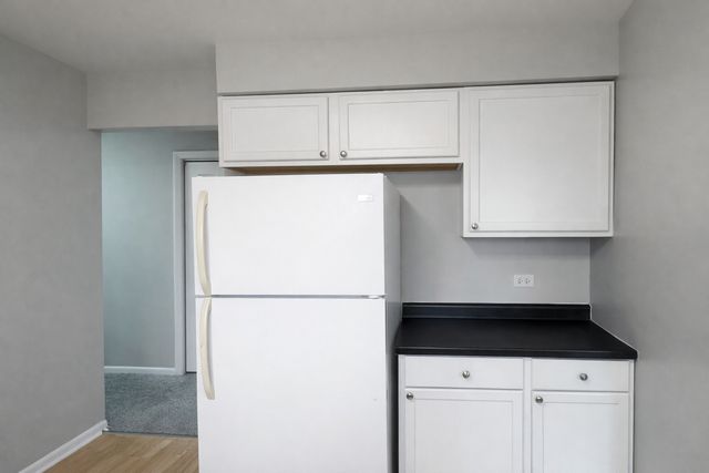 20067 Monterey Avenue, Lynwood, IL 60411