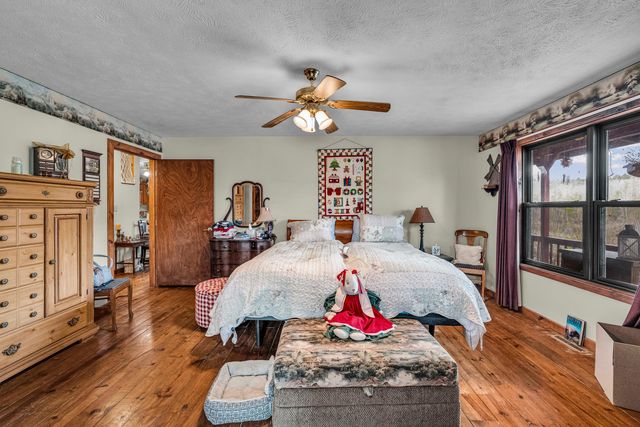 321 Coyote Trail, Gainesville, MO 65655