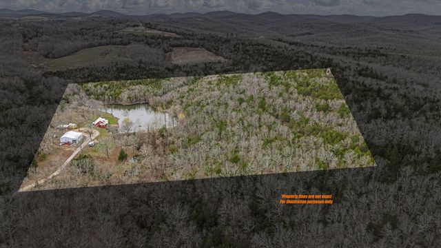 321 Coyote Trail, Gainesville, MO 65655