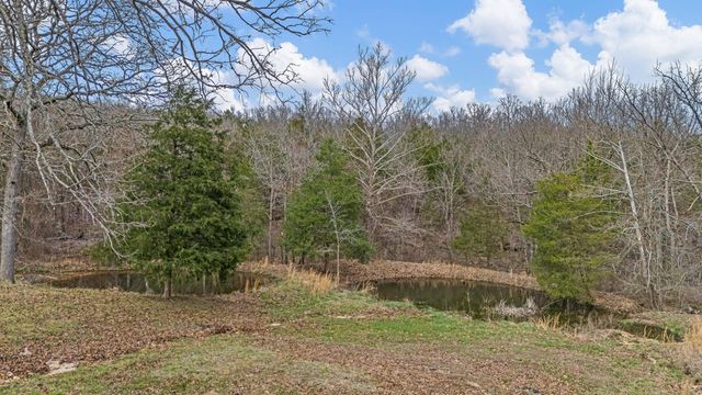 321 Coyote Trail, Gainesville, MO 65655