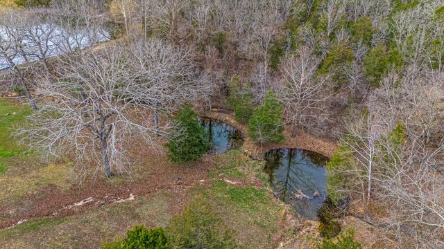 321 Coyote Trail, Gainesville, MO 65655