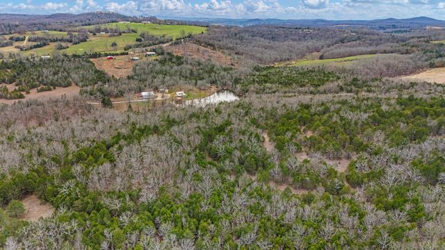 321 Coyote Trail, Gainesville, MO 65655