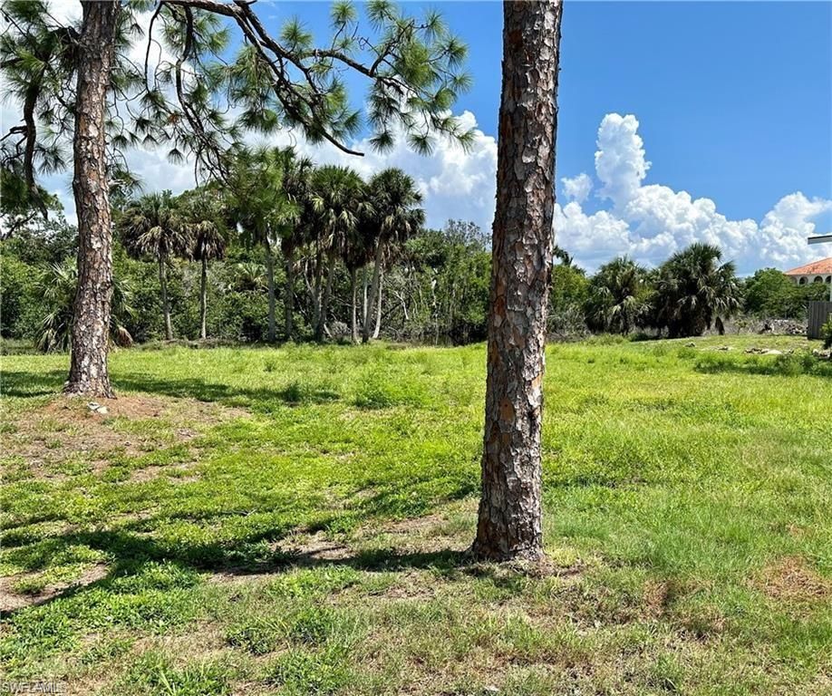27675 Riverdale LN, BONITA SPRINGS, FL 34134 — photo 2