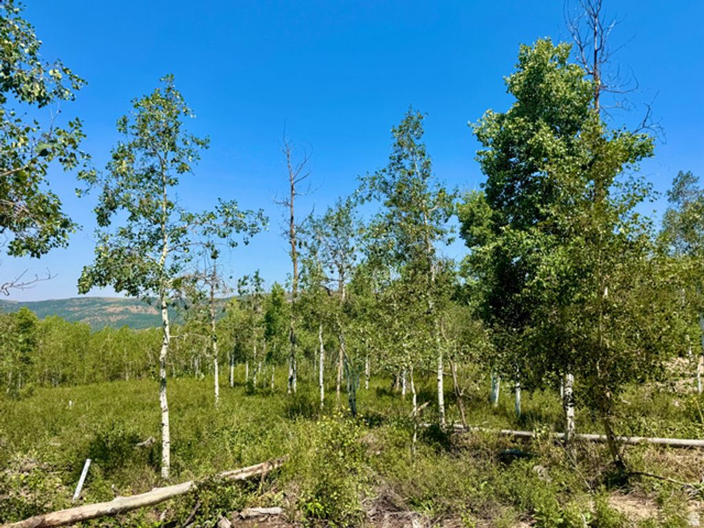 10775 Tanglewood Dr E Unit 631, Heber City, UT 84032 — exterior