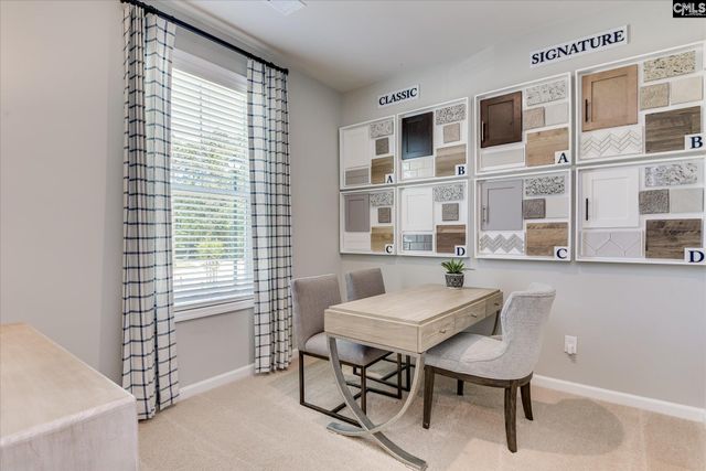 304 Red Sanddust Court, Lexington, SC 29073