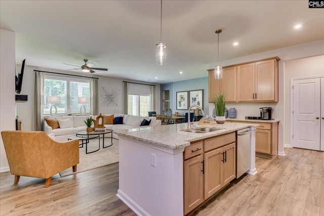 304 Red Sanddust Court, Lexington, SC 29073