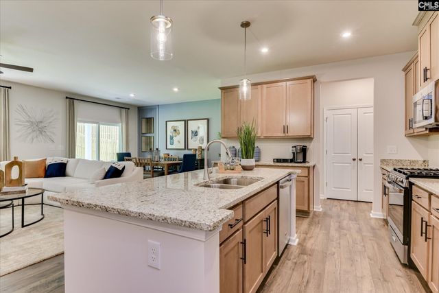 304 Red Sanddust Court, Lexington, SC 29073