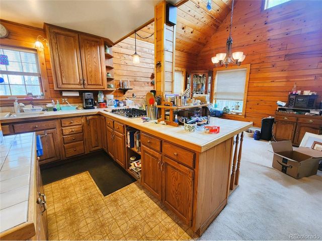 1330 S Dory Lakes Dr, Black Hawk, CO 80422