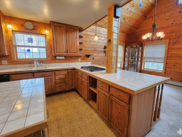 1330 S Dory Lakes Dr, Black Hawk, CO 80422