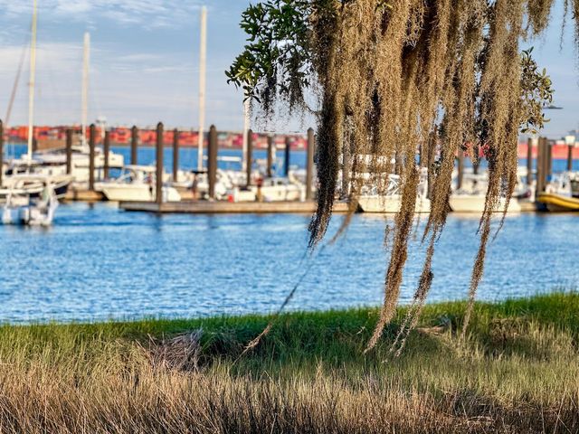 320 Longshore Street 1046, Charleston, SC 29492