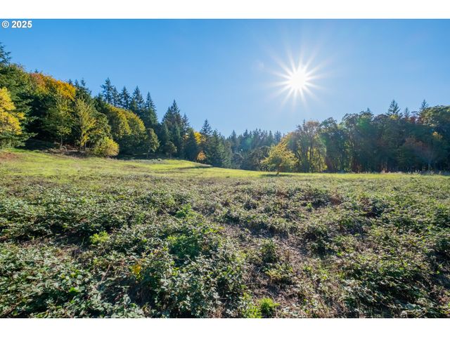 4204 RIVERDALE Rd S, Salem, OR 97302