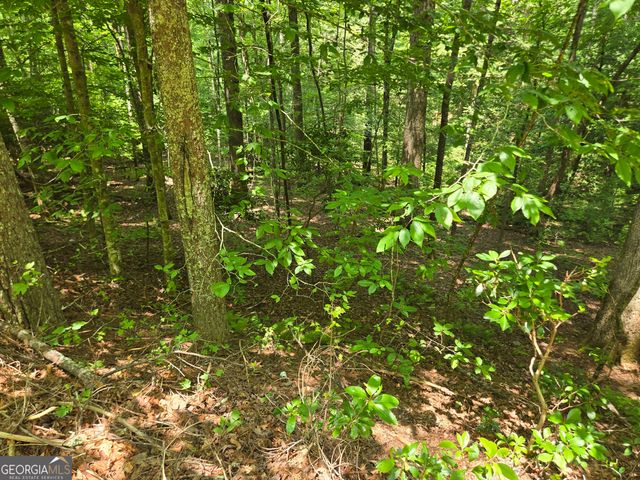 66-67 Erst Strasse, Helen, GA 30545