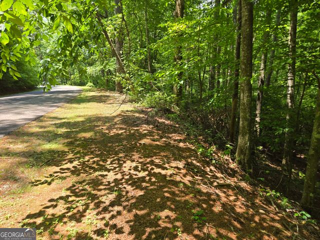 66-67 Erst Strasse, Helen, GA 30545