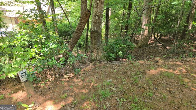66-67 Erst Strasse, Helen, GA 30545