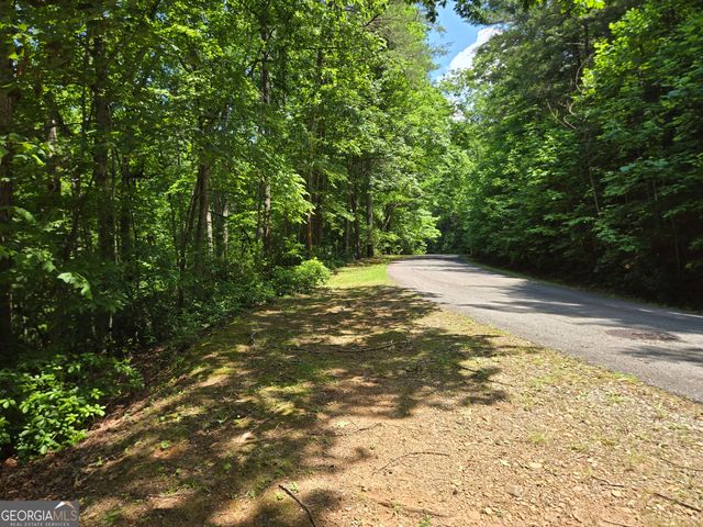 66-67 Erst Strasse, Helen, GA 30545