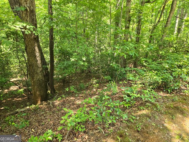 66-67 Erst Strasse, Helen, GA 30545