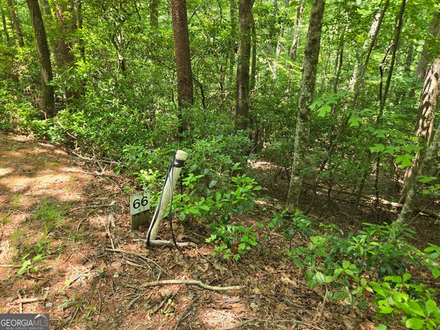 66-67 Erst Strasse, Helen, GA 30545