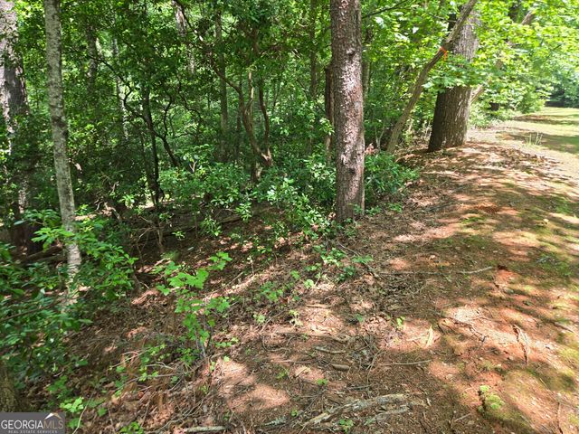 66-67 Erst Strasse, Helen, GA 30545
