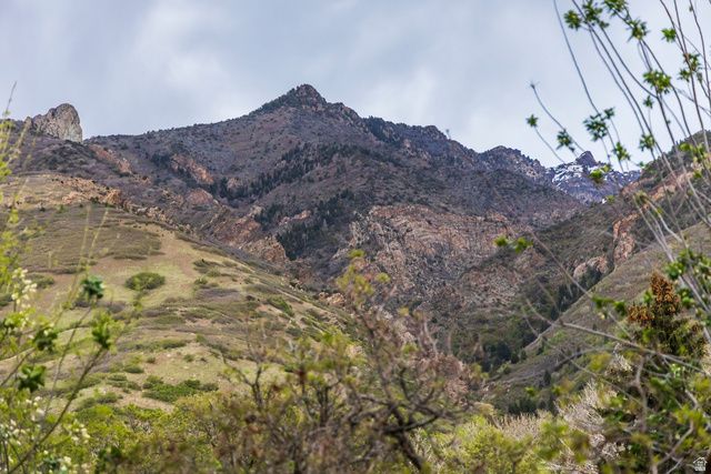 3455 E DANISH RD, Cottonwood Heights, UT 84093