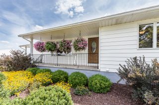 11675 Stony Creek Road, York Twp, MI 48160