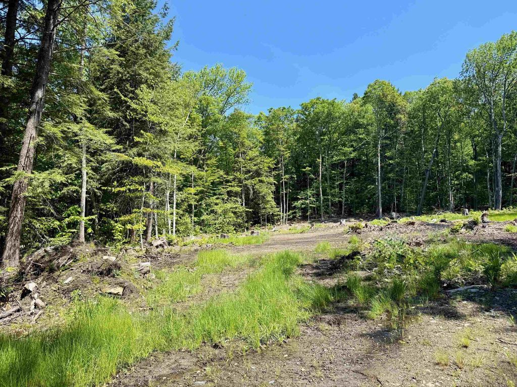 585 Sawmill Road, Wardsboro, VT 05360