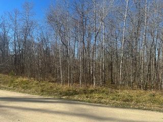 TBD Crest Court NE, Turtle River Twp, MN 56601