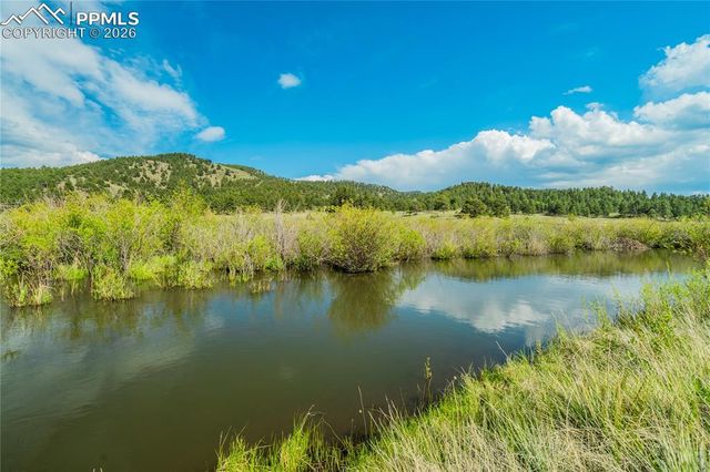 224 Lakeview Forest Heights, Florissant, CO 80816