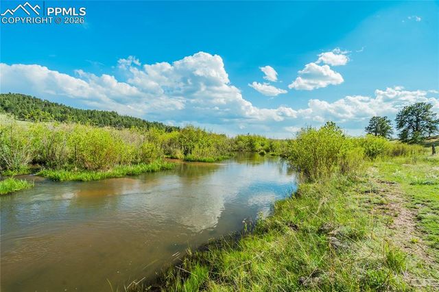 224 Lakeview Forest Heights, Florissant, CO 80816