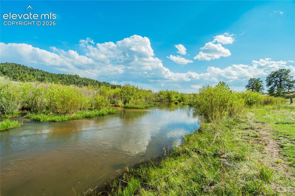 224 Lakeview Forest Heights, Florissant, CO 80816 — photo 4