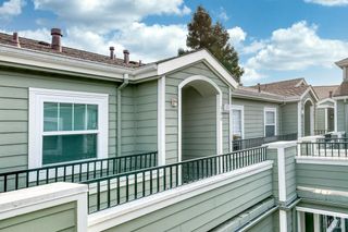 1587 S Novato Blvd #308, Novato, CA 94947