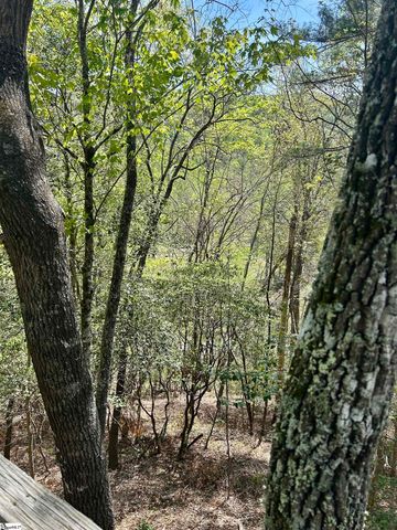 107 Brendart Hill Road, Sunset, SC 29685