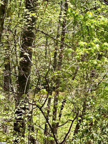 107 Brendart Hill Road, Sunset, SC 29685